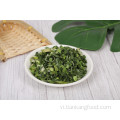Mất nước Gree và White Onion Nhẫn Thành phần thực phẩm